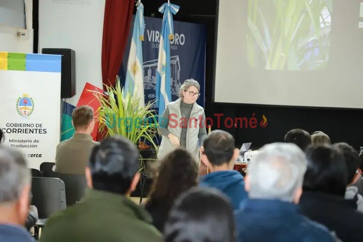 Virasoro: Charla técnica sobre manejo e implantación de pasto elefante