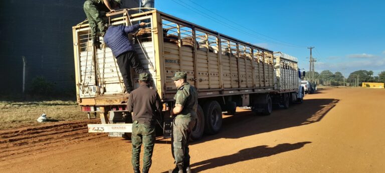 Detuvieron un camión con ganado de marca" trucha" en Desiderio Sosa