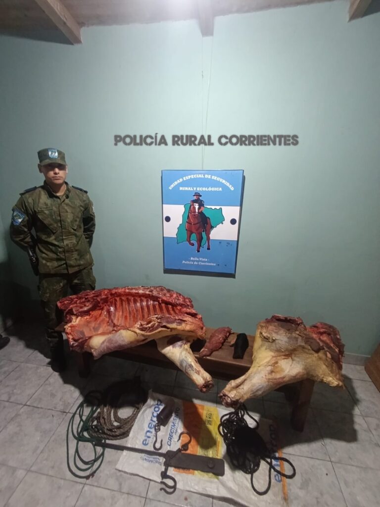 Bella Vista: Operativo por abigeato