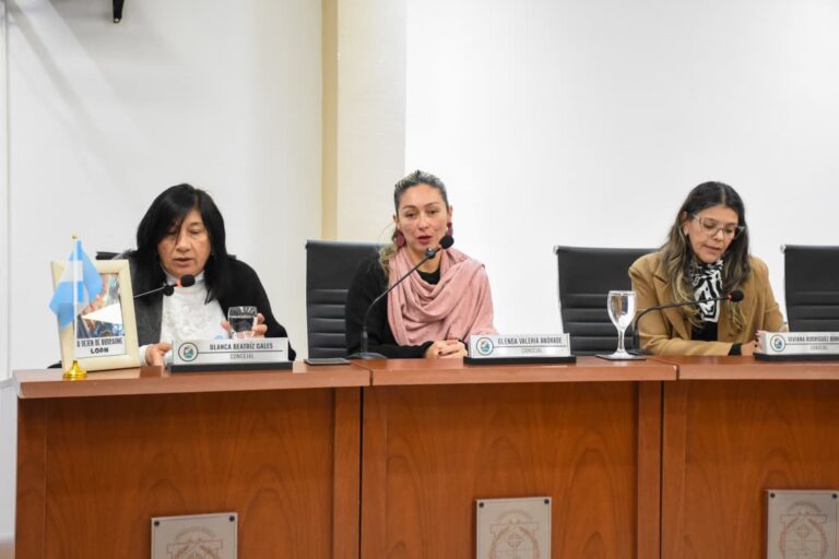 Santo Tomé: En el Poder Legislativo local se declaró de interés la Expo Carreras 2026