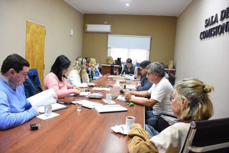 El Concejo Deliberante concretó una reunión de Comisión donde se analizaron varios proyectos