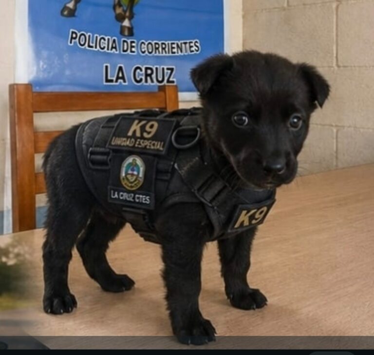 Piru, de ser abandonado a formar parte de la Policía en La Cruz
