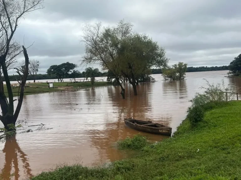 Crece el río uruguay en Santo Tomé, qué dicen las autoridades