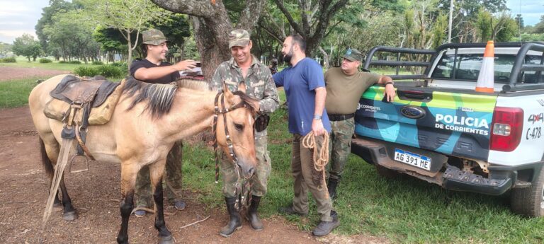 DESIDERIO SOSA: DE VÍCTIMA DEL MALTRATO A SÍMBOLO DE ESPERANZA: LA NUEVA VIDA DE “PERLA”