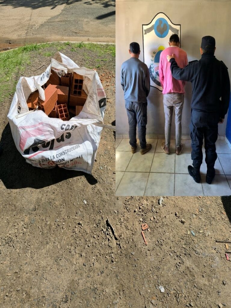 Santo Tomé: Los descubrieron trasladando ladrillos y luego apareció la dueña