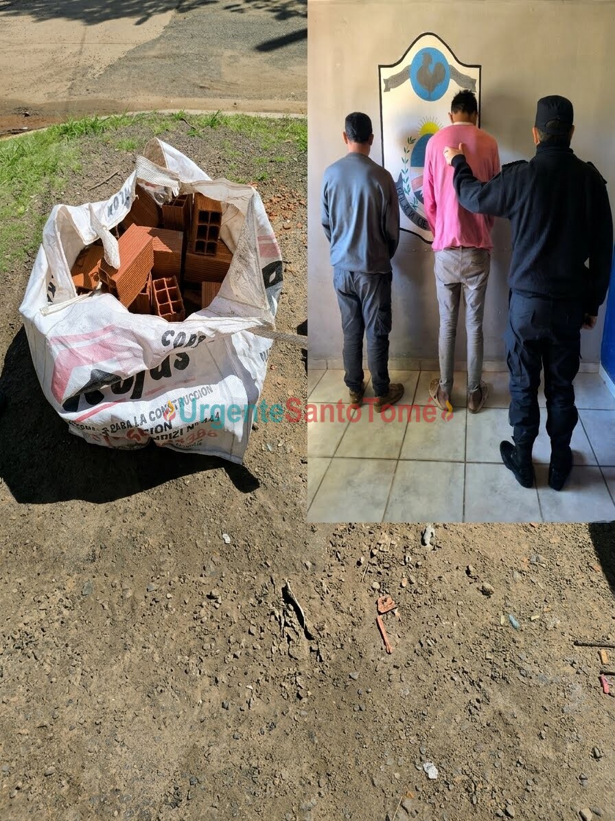 Santo Tomé: Los descubrieron trasladando ladrillos y luego apareció la dueña